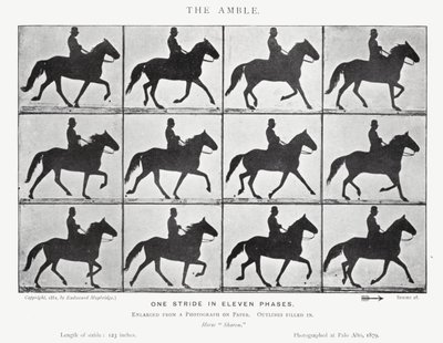 Eadweard Muybridge : L