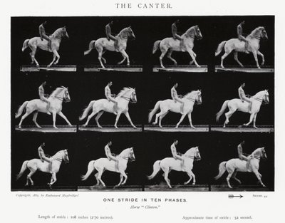 Eadweard Muybridge : Le Petit Galop (photo n/b) - Eadweard Muybridge