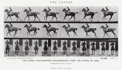 Eadweard Muybridge : Le Petit Galop (photo n/b) - Eadweard Muybridge