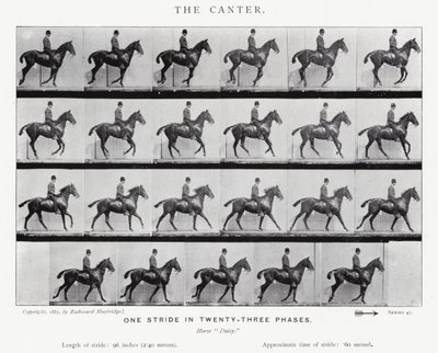 Le Petit Galop - Eadweard Muybridge