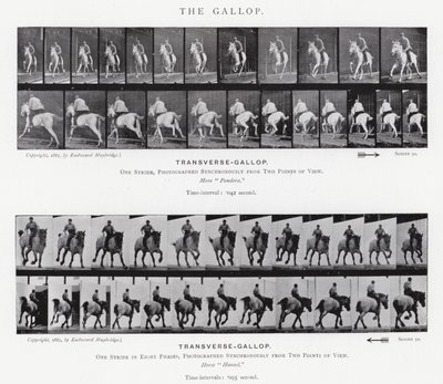 Le Galop - Eadweard Muybridge