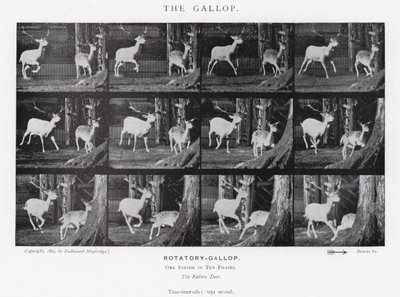Le Galop - Eadweard Muybridge