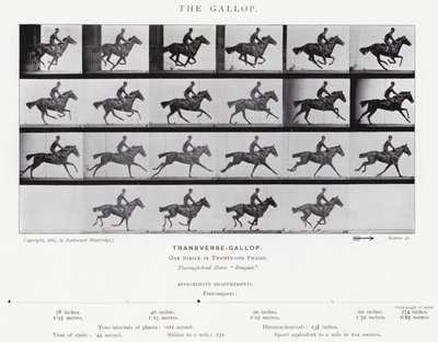Eadweard Muybridge : Le Galop (photo n/b) - Eadweard Muybridge