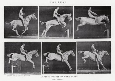 Le Saut - Eadweard Muybridge