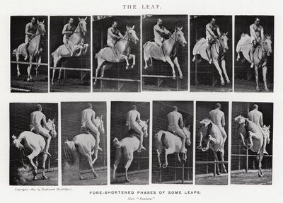 Eadweard Muybridge : Le Saut (photo n/b) - Eadweard Muybridge