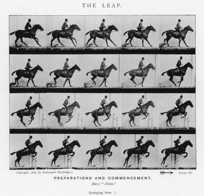 Eadweard Muybridge : Le Saut - Eadweard Muybridge