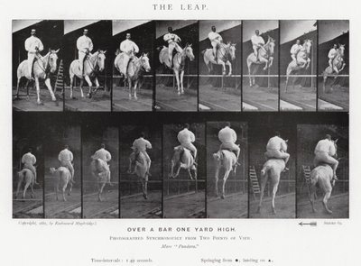 Eadweard Muybridge : Le Saut (photo n/b) - Eadweard Muybridge