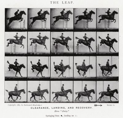 Eadweard Muybridge : Le Saut (photo n/b) - Eadweard Muybridge