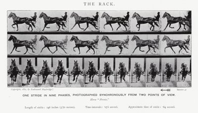 Le Galop - Eadweard Muybridge