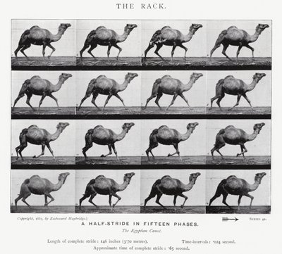 Le Galop - Eadweard Muybridge