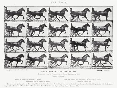 Le Trot - Eadweard Muybridge