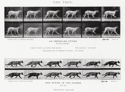 Le Trot - Eadweard Muybridge