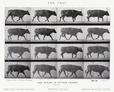 Eadweard Muybridge : Le Trot (photo n/b) - Eadweard Muybridge