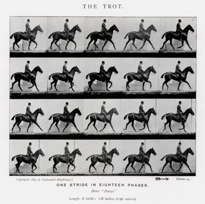Le Trot - Eadweard Muybridge