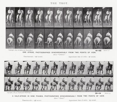 Le Trot - Eadweard Muybridge