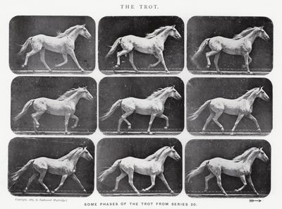 Le Trot - Eadweard Muybridge