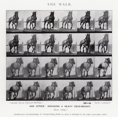 Eadweard Muybridge : La Marche - Eadweard Muybridge