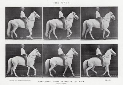 Eadweard Muybridge : La Marche - Eadweard Muybridge
