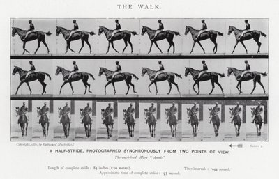 Eadweard Muybridge : La Marche - Eadweard Muybridge