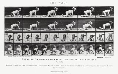 Eadweard Muybridge : La Marche - Eadweard Muybridge