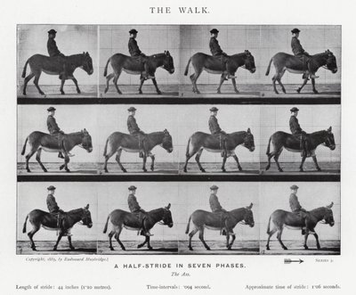 Eadweard Muybridge : La Marche (photo n/b) - Eadweard Muybridge
