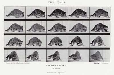La Marche - Eadweard Muybridge