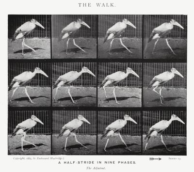 La Marche - Eadweard Muybridge