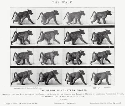 La Marche - Eadweard Muybridge