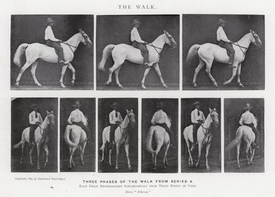 Eadweard Muybridge : La Marche (photo n/b) - Eadweard Muybridge