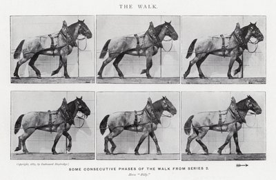 Eadweard Muybridge : La Marche (photo n/b) - Eadweard Muybridge