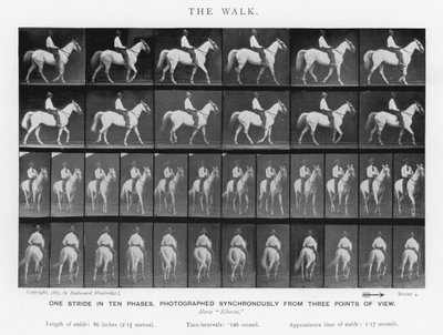 Eadweard Muybridge : La Marche (photo n/b) - Eadweard Muybridge