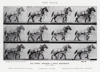 La Marche - Eadweard Muybridge