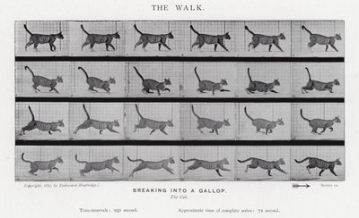 La Marche - Eadweard Muybridge
