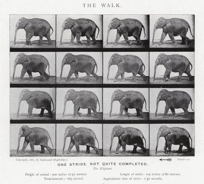 La Marche - Eadweard Muybridge