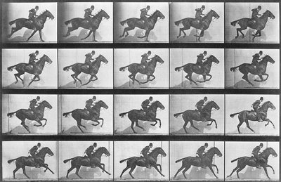 Cheval au galop, planche 628 de 