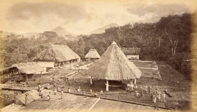 Hacienda William Nelson, San Isidro, Guatemala - Eadweard Muybridge