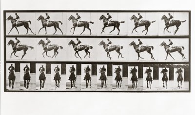 Cheval et cavalier, Planche 621 de Animal Locomotion, 1887 - Eadweard Muybridge