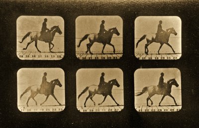 Chevaux. Irrégulier, série 