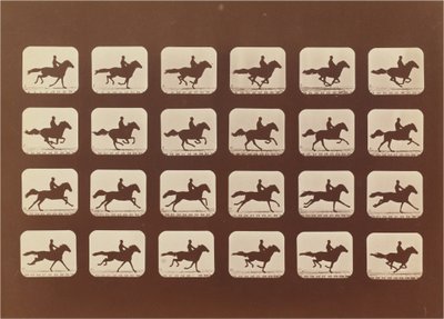 Chevaux. Courir. Phyrne L. No. 40 - Eadweard Muybridge