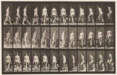 Planche 104. Tournant et montant des escaliers, seau d