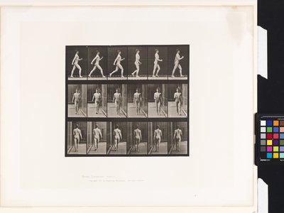 Planche 10. Marche - Eadweard Muybridge