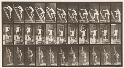 Plaque 110. Monter un escabeau, deux marches à la fois - Eadweard Muybridge