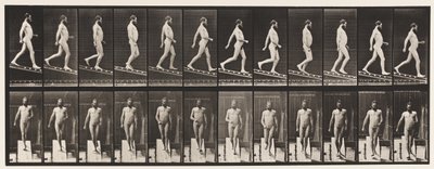 Planche 113. Descendre une pente, 1 sur 4 - Eadweard Muybridge