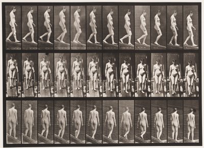 Planche 117. Descendre une pente - Eadweard Muybridge
