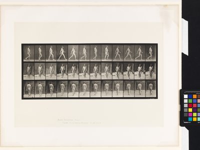 Planche 11. Marche - Eadweard Muybridge
