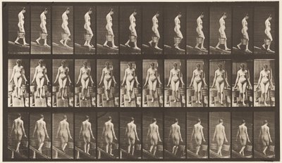 Planche 121. Descente d