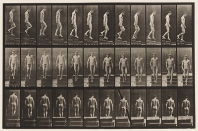 Planche 125. Descendre les escaliers - Eadweard Muybridge