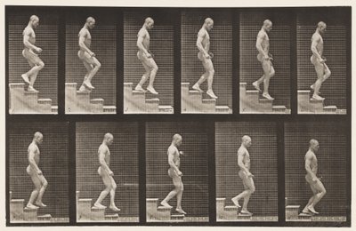 Planche 126. Descente d