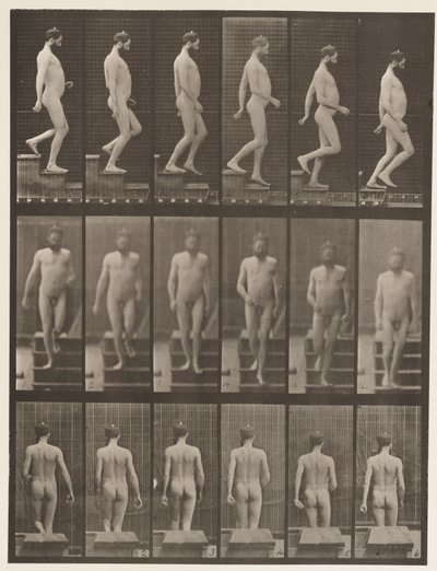 Planche 127. Descendre les escaliers, 1872-1885 - Eadweard Muybridge