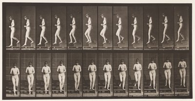 Planche 128. Descendre les escaliers, mains jointes, 1872-1885 - Eadweard Muybridge